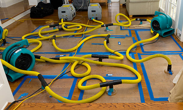 Professional Burst Pipe Water Damage technician working in Millbury, OH